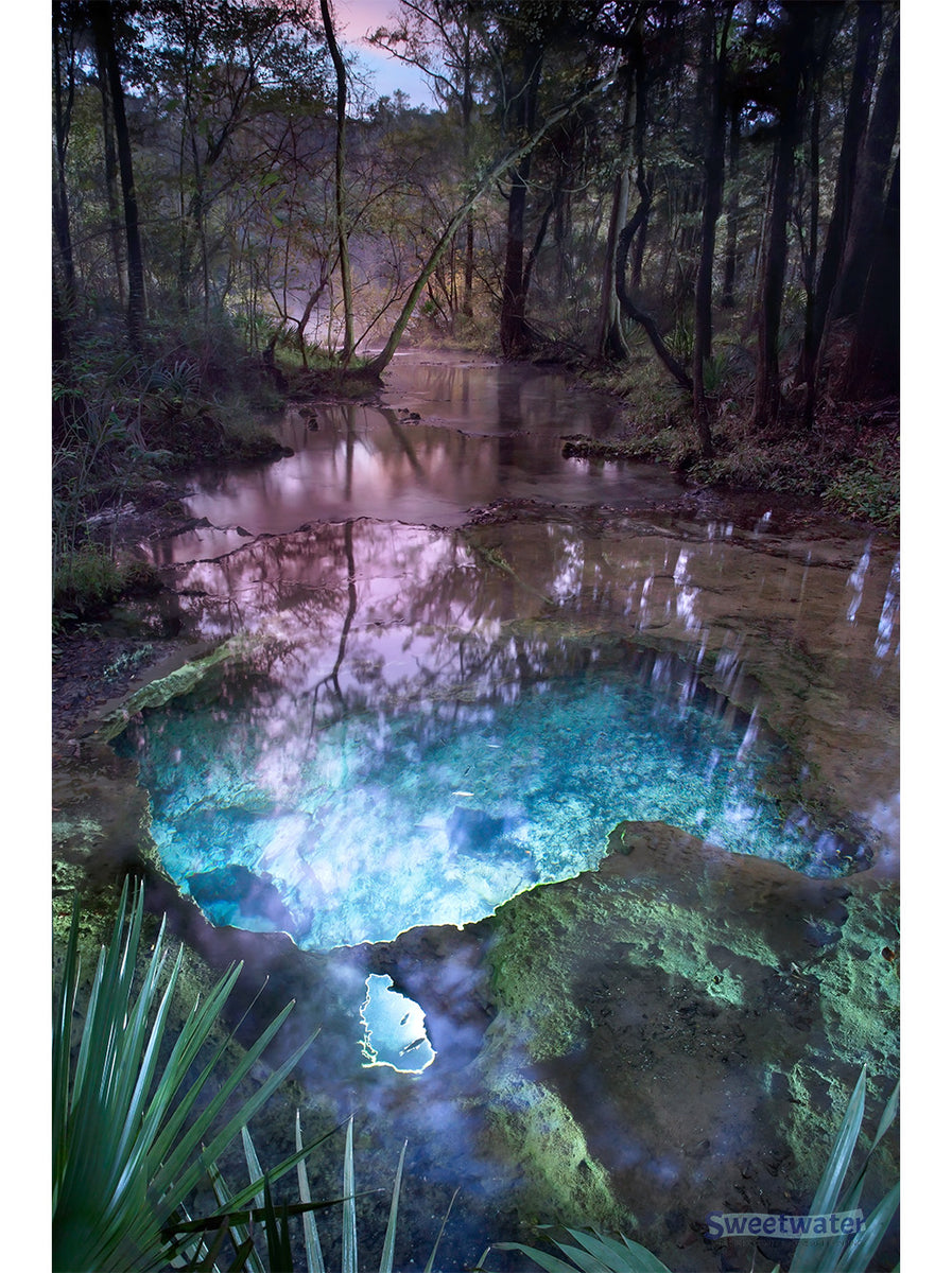 Mystic Springs - Fine Art Print - John Moran Florida Nature Photography ...