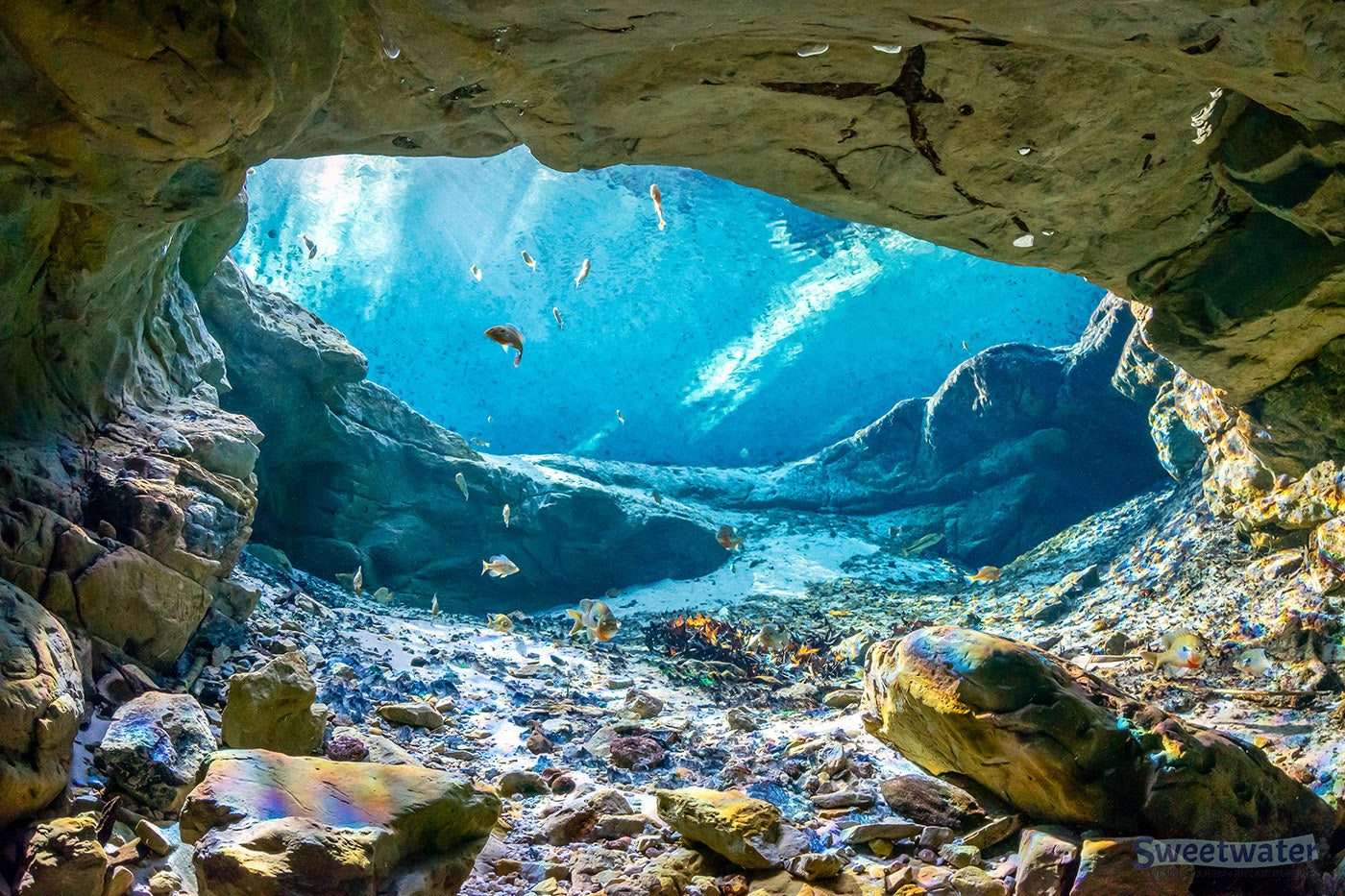 The Secret Spring The Secret Spring - Fine Art Print - John Moran Florida Nature ...